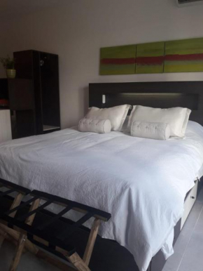 COMODO STUDIO